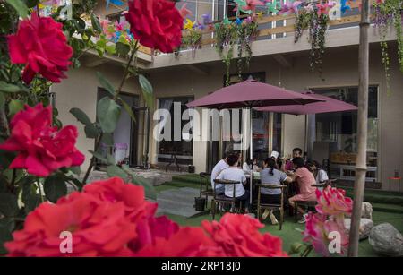 (180617) -- LUONAN, 17. Juni 2018 -- Touristen essen in einem ländlichen gasthaus einer Rosenstadt im Luonan County, nordwestchinesische Provinz Shaanxi, 16. Juni 2018. Die Rosenstadt in Luonan hat seit ihrer Eröffnung im Mai 2017 mehr als 200.000 Touristen empfangen. )(mcg) CHINA-SHAANXI-LUONAN-ROSE TOWN (CN) TaoxMing PUBLICATIONxNOTxINxCHN Stockfoto