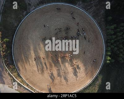 (180621) -- CHENGDE, 21. Juni 2018 -- auf diesem Luftbild, das am 20. Juni 2018 aufgenommen wurde, absolvieren Reiter, die an einer bevorstehenden historischen Live-Performance teilnehmen, eine Reiterausbildung im Bezirk Shuangluan in Chengde, Provinz Hebei in Nordchina. ) (lmm) CHINA-HEBEI-PERFORMANCE-EQUESTRIANISM-TRAINING (CN) WangxLiqun PUBLICATIONxNOTxINxCHN Stockfoto