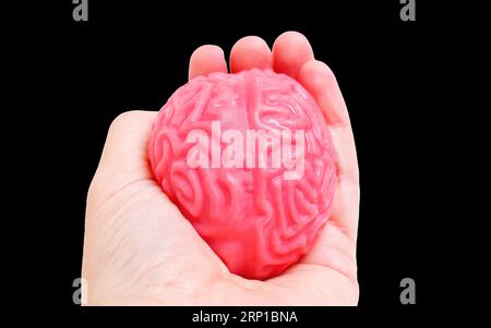 Nahaufnahme eines Spielzeuggelee-ähnlichen menschlichen Gehirnmodells, das vor einem schwarzen Hintergrund in der Hand gehalten wird. Das Konzept des menschlichen Geistes verstehen. Stockfoto