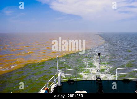 (180629) -- JINAN, 29. Juni 2018 -- Foto vom 24. Juni 2018 zeigt die Mündung des Gelben Flusses in Dongying, der ostchinesischen Provinz Shandong. Der Yellow River, der zweitlängste Fluss Chinas, entspringt auf dem Qinghai-Tibet-Plateau und mündet von Dongying City in das Bohai-Meer. Die Stadt hat Anstrengungen unternommen, um die ökologische Zivilisation zu fördern und den Bau von Feuchtgebieten zu beschleunigen. )(mcg) CHINA-SHANDONG-DONGYING-LUFTAUFNAHME (CN) ZhuxZheng PUBLICATIONxNOTxINxCHN Stockfoto