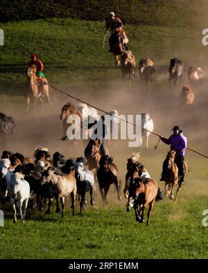 (180701) -- CHIFENG, 1. Juli 2018 -- Hirten treiben Pferde auf einem Grasland in Hexigten Qi der Stadt Chifeng, Nordchinas Autonome Region Innere Mongolei, 30. Juni 2018. ) (Zwx) CHINA-INNER MONGOLEI-GRASLAND-PFERDE (CN) PengxYuan PUBLICATIONxNOTxINxCHN Stockfoto