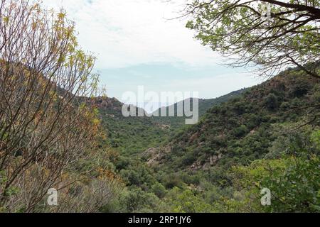 Das bergige Wandergebiet rund um cardedu auf sardinien Stockfoto