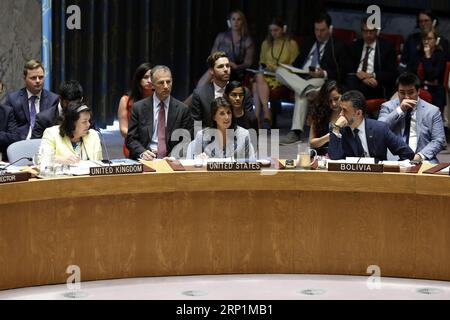 (180713) -- VEREINTEN NATIONEN, 13. Juli 2018 -- US-Botschafter bei den Vereinten Nationen Nikki Haley (C, Front) spricht vor der Abstimmung des Sicherheitsrats über eine Resolution zur Verhängung eines Waffenembargos gegen den Südsudan am 13. Juli 2018 im UN-Hauptquartier in New York. Der UN-Sicherheitsrat hat am Freitag eine Resolution verabschiedet, um zusätzlich zu den geltenden Sanktionen bis zum 31. Mai 2019 ein Waffenembargo gegen den Südsudan zu verhängen. ) VN-SICHERHEITSRAT-SÜDSUDAN-WAFFENEMBARGO-RESOLUTION-ANNAHME LIXMUZI PUBLICATIONXNOTXINXCHN Stockfoto