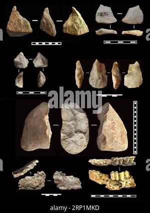 (180714) -- LANTIAN, 14. Juli 2018 -- Grafik zeigt die ausgegrabenen paleplithischen Werkzeuge und Tierfossilien aus der ältesten Bodenschicht von 2,1 bis 2,12 Millionen Jahren. Antike Werkzeuge, die im Lantian County, der Provinz Shaanxi im Nordwesten Chinas, von einem Forscherteam aus chinesischen und britischen Archäologen entdeckt wurden, deuten darauf hin, dass es außerhalb Afrikas früher als bisher angenommen eine Hominin-Präsenz gegeben haben könnte, so eine Studie, die Mittwoch in Nature veröffentlicht wurde. In elf verschiedenen Schichten fossiler Böden wurden 80 Steinartefakte gefunden, von denen die ältesten auf 2,12 Millionen Jahre datiert werden können Stockfoto