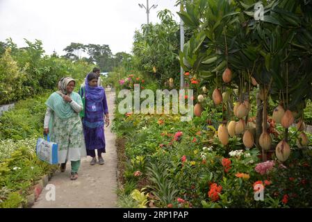 (180718) --- DHAKA, 18. Juli 2018 () -- Besucher sehen Pflanzen, Bäume und Setzlinge auf Bangladeschs monatelanger nationaler Baummesse in der Hauptstadt Dhaka am 18. Juli 2018. ()(rh) BANGLADESH-DHAKA-TREE-PLANTING-CAMPAIGN Xinhua PUBLICATIONxNOTxINxCHN Stockfoto