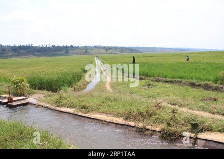 (180723) -- ÖSTLICHE PROVINZ, 23. Juli 2018 -- Foto vom 13. Juli 2018 zeigt einen Blick auf Gräben und Wasserstraßen, die von der China Geo-Engineering Corporation (CGC) im Bezirk Nyagatare, östliche Provinz, Ruanda, gebaut wurden. Chinesische Unternehmen haben eine entscheidende Rolle dabei gespielt, ruandische Landwirte in die Lage zu versetzen, die landwirtschaftliche Produktivität und die Haushaltseinkommen zu steigern, sagte ein ruandischer Analyst. ) (Jmmn) RUANDA-ÖSTLICHE PROVINZ-CHINESISCHE FIRMA-DAM ZhangxGaiping PUBLICATIONxNOTxINxCHN Stockfoto