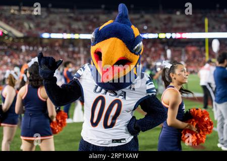 Houston, TX, USA. September 2023. UTSA Roadrunners Maskottchen Rowdy während eines Spiels zwischen den UTSA Roadrunners und den Houston Cougars in Houston, TX. Trask Smith/CSM/Alamy Live News Stockfoto