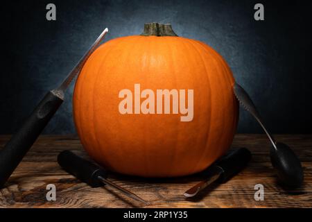 Halloween Kürbis Schnitzwerkzeuge für Jack-o'-Laterne Gesichtsausschnitt. Löffelrinne und Sägeblattenmesser Schnitzer. Herbstlicher oder herbstlicher Kürbis, fertig zum Schnitzeln. Stockfoto