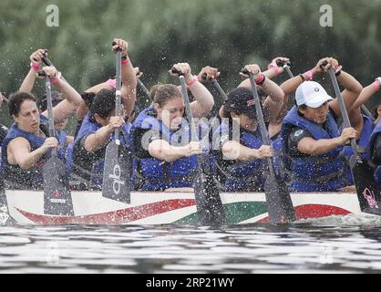 (180811) -- NEW YORK, 11. August 2018 -- Spieler treten während eines Drachenbootrennen des 28. Jährlichen Hong Kong Dragon Boat Festivals in Queens of New York, USA, am 11. August 2018 an. Die zweitägige Veranstaltung begann am Samstag bei Regen, und mehr als 200 gut ausgebildete Teams nahmen an dem diesjährigen Drachenboot-Rennen Teil. ) U.S.-NEW YORK-HONG KONG DRAGON BOAT FESTIVAL WANGXYING PUBLICATIONXNOTXINXCHN Stockfoto