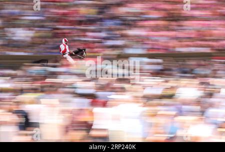 (180816) -- SIENA, 16. August 2018 (Xinhua) -- Ein Jockey reitet sein Pferd während des dritten Tages des Pferderennens in Siena, Italien, 15. August 2018. Ein traditionelles Pferderennen, das auf Italienisch als Palio di Siena bekannt ist, findet in der historischen Stadt Siena statt und zieht Zehntausende Zuschauer an. Das Pferderennen in Siena geht auf das Mittelalter zurück und findet jedes Jahr am 2. Juli und 16. August statt. Vor dem letzten Rennen werden drei Tage lang Tests durchgeführt. (Xinhua/Jin Yu) (SP)ITALY-SIENA-PALIO PUBLICATIONxNOTxINxCHN Stockfoto