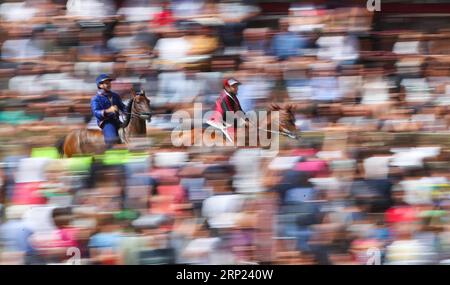 (180816) -- SIENA, 16. August 2018 (Xinhua) -- Jockeys reiten ihre Pferde während des dritten Tages des Pferderennens in Siena, Italien, 15. August 2018. Ein traditionelles Pferderennen, das auf Italienisch als Palio di Siena bekannt ist, findet in der historischen Stadt Siena statt und zieht Zehntausende Zuschauer an. Das Pferderennen in Siena geht auf das Mittelalter zurück und findet jedes Jahr am 2. Juli und 16. August statt. Vor dem letzten Rennen werden drei Tage lang Tests durchgeführt. (Xinhua/Jin Yu) (SP)ITALY-SIENA-PALIO PUBLICATIONxNOTxINxCHN Stockfoto