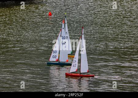 Woodspring-Modellsiedlerverein International, 1-Meter-Klasse Stockfoto