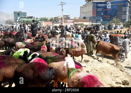 (180820) -- KABUL, 20. August 2018 -- die Einheimischen kaufen Opfertiere auf einem Viehmarkt in Kabul, Afghanistan, am 20. August 2018, vor dem jährlichen Festival Eid al-Adha. )(rh) AFGHANISTAN-KABUL-EID AL-ADHA DaixHe PUBLICATIONxNOTxINxCHN Stockfoto