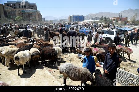 (180820) -- KABUL, 20. August 2018 -- die Einheimischen kaufen Opfertiere auf einem Viehmarkt in Kabul, Afghanistan, am 20. August 2018, vor dem jährlichen Festival Eid al-Adha. )(rh) AFGHANISTAN-KABUL-EID AL-ADHA DaixHe PUBLICATIONxNOTxINxCHN Stockfoto