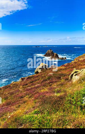 Küstenlinie, Heideflächen an der Atlantikküste, Klippen, blauer Himmel im Sommer, Landzunge Ende, Landzunge Ende, Penzance, Penwith Peninsula, Cornwall Stockfoto