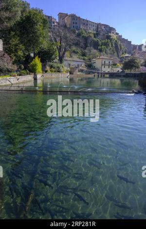 La Peschiera Fischteich, Santa Fiora, Provinz Grosseto, Italien Stockfoto