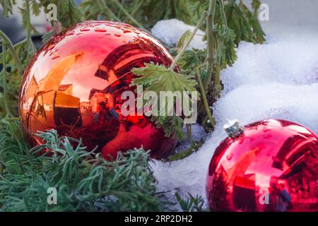 Rote Weihnachtskugeln, grüne Pflanzen im Schnee. Schöne Reflexion des Fotografen, der Kirche und der Straße in Kugeln. Originale Weihnachtskomposition. Stockfoto