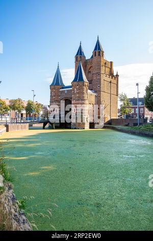 Historisches Tor Amsterdamse Poort, Haarlem, Niederlande Stockfoto