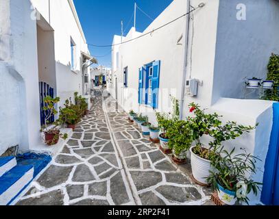 Weiße kykladische Häuser mit bunten Fensterläden und Türen und Blumentöpfen, Gassen des Dorfes Marpissa, Paros, Kykladen, Griechenland Stockfoto