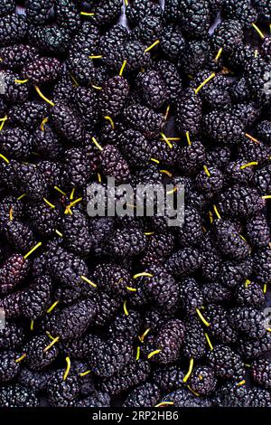 Draufsicht Sortiment Maulbeeren Stockfoto