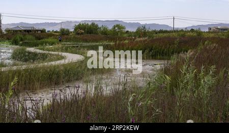 (180906) -- ZHANGYE, 6. September 2018 -- Foto vom 5. September 2018 zeigt einen Blick auf den Zhangye National Wetland Park im Bezirk Ganzhou von Zhangye, Provinz Gansu im Nordwesten Chinas. ) (Yxb) CHINA-GANSU-ZHANGYE-WETLAND (CN) TaoxMing PUBLICATIONxNOTxINxCHN Stockfoto