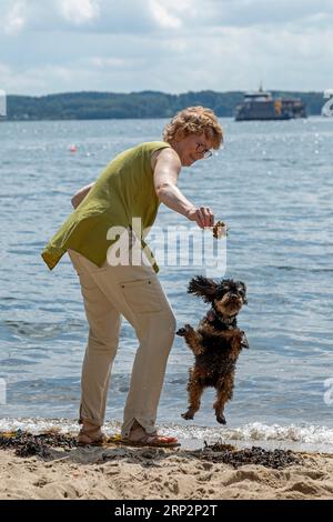 Frau spielt mit Hund, Strand, Friedrichsort, Kieler Fjord, Kiel, Schleswig-Holstein, Deutschland Stockfoto