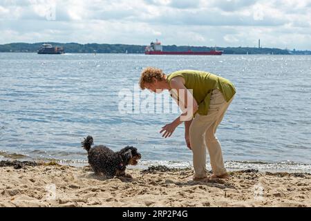 Frau spielt mit Hund, Strand, Friedrichsort, Kieler Fjord, Kiel, Schleswig-Holstein, Deutschland Stockfoto