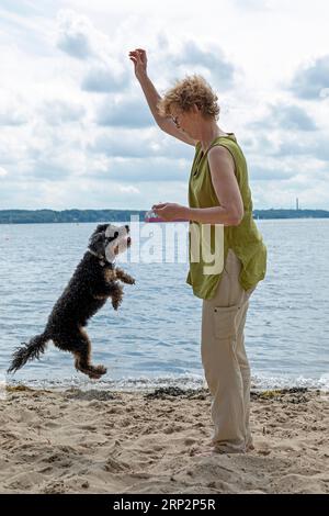 Frau spielt mit Hund, Strand, Friedrichsort, Kieler Fjord, Kiel, Schleswig-Holstein, Deutschland Stockfoto