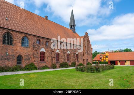 St. Mary Church ehemaliges Karmeliterkloster - Helsingor, Dänemark Stockfoto