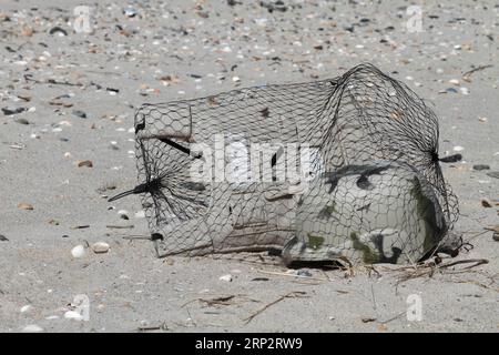 Am Strand angespülte Meeresmüll, menschliche Auswirkungen auf das Meeresökosystem, Minsener Oog, Niedersachsen, Deutschland Stockfoto