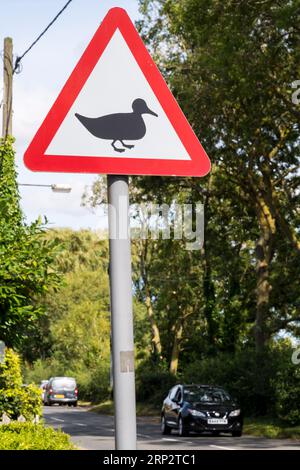 Entenwarnschild auf einer Landstraße in Norfolk. Stockfoto