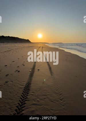Reifenspuren am Strand. Sonnenuntergang am langen und leeren Strand. Vertikal Stockfoto