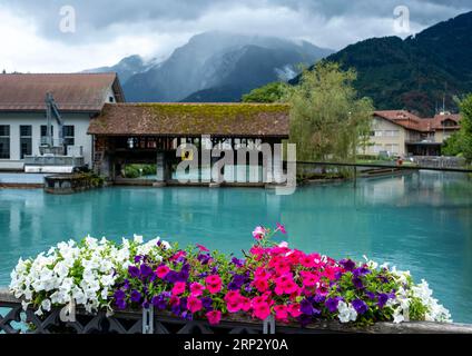 Fluss Aare, Altstadt von Unterseen, Interlaken, Kanton Bern, Schweiz. Stockfoto