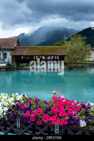 Fluss Aare, Altstadt von Unterseen, Interlaken, Kanton Bern, Schweiz. Stockfoto