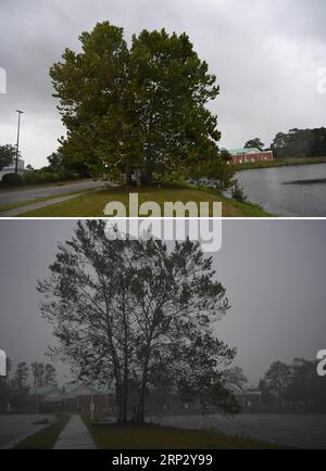 (180914) -- WILMINGTON, 14. September 2018 -- das Combo-Foto vom 13. September 2018 und 14. September 2018 zeigt einen Baum in Wilmington, North Carolina, USA, vor (up) und nach Hurrikan Florence. Der Hurrikan Florence am Freitagmorgen landete an der Küste von North Carolina als Sturm der Kategorie 1, mit Stürmen und Regenfällen. (lrz) U.S.-WILMINGTON-HURRICANE FLORENCE LiuxJie PUBLICATIONxNOTxINxCHN Stockfoto