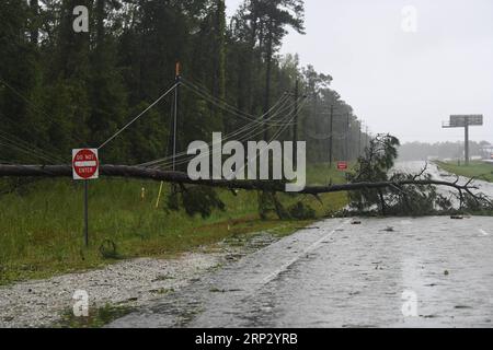 (180915) -- WASHINGTON, 15. September 2018 -- Ein umgestürzter Baum liegt am 14. September 2018 an einer Straße in der Nähe der Küste in North Carolina, den Vereinigten Staaten. Mindestens fünf Menschen wurden bisher nach dem Hurrikan Florence getötet, der am Freitagnachmittag zu einem tropischen Sturm mit Winden von 70 mph (110 km/h) entlang der US-Ostküste herabgestuft wurde. (yy) U.S.-EAST COAST-HURRICANE FLORENCE-AFTERMATH LiuxJie PUBLICATIONxNOTxINxCHN Stockfoto