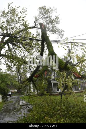 (180915) -- WASHINGTON, 15. September 2018 -- Ein umgestürzter Baum liegt am 14. September 2018 an einer Straße in der Nähe der Küste in North Carolina, den Vereinigten Staaten. Mindestens fünf Menschen wurden bisher nach dem Hurrikan Florence getötet, der am Freitagnachmittag zu einem tropischen Sturm mit Winden von 70 mph (110 km/h) entlang der US-Ostküste herabgestuft wurde. (yy) U.S.-EAST COAST-HURRICANE FLORENCE-AFTERMATH LiuxJie PUBLICATIONxNOTxINxCHN Stockfoto