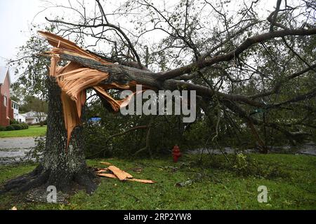 (180915) -- WASHINGTON, 15. September 2018 -- Ein umgestürzter Baum liegt am 14. September 2018 an einer Straße in der Nähe der Küste in North Carolina, den Vereinigten Staaten. Mindestens fünf Menschen wurden bisher nach dem Hurrikan Florence getötet, der am Freitagnachmittag zu einem tropischen Sturm mit Winden von 70 mph (110 km/h) entlang der US-Ostküste herabgestuft wurde. (yy) U.S.-EAST COAST-HURRICANE FLORENCE-AFTERMATH LiuxJie PUBLICATIONxNOTxINxCHN Stockfoto