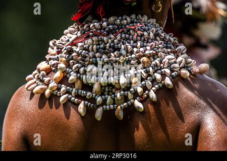 Krieger mit wertvollem Prachtschmuck, im Hochland bei einem Singen des Melpa-Stammes Papua-Neuguinea Stockfoto