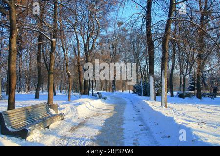 Das Foto wurde im Stadtpark von Kiew aufgenommen. Das Bild zeigt eine von Schnee gereinigte Gasse für Spaziergänge an den Seiten, an denen Bänke zur Erholung aufgestellt sind. Stockfoto