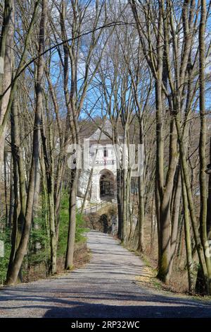 Das Foto wurde in Polen in einem Nationalpark namens Oytsov aufgenommen. Auf dem Bild die Gasse, die zur alten Burg führt. Stockfoto