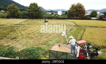 (180918) -- YIXIAN, 18. September 2018 -- Luftaufnahme vom 18. September 2018 zeigt Bauern, die gesammelte Reiskulturen im Dorf Bishan im Kreis Yixian in der ostchinesischen Provinz Anhui laden. Die Reisernte hat im Dorf Bishan begonnen. (xmc) CHINA-ANHUI-YIXIAN-RICE-HARVEST (CN) ZhangxDuan PUBLICATIONxNOTxINxCHN Stockfoto