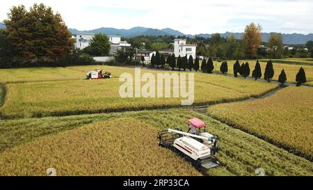 (180918) -- YIXIAN, 18. Sept. 2018 -- Luftaufnahme vom 18. Sept. 2018 zeigt Bauern, die mit dem Erntemaschinen Reisernte im Bishan Village im Yixian County in der ostchinesischen Provinz Anhui sammeln. Die Reisernte hat im Dorf Bishan begonnen. (xmc) CHINA-ANHUI-YIXIAN-RICE-HARVEST (CN) ZhangxDuan PUBLICATIONxNOTxINxCHN Stockfoto