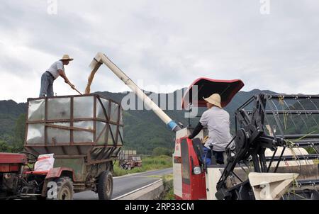 (180918) -- YIXIAN, 18. September 2018 -- Bauern laden gesammelte Reiskulturen im Bishan Village im Yixian County, ostchinesische Provinz Anhui, 18. September 2018. Die Reisernte hat im Dorf Bishan begonnen. (xmc) CHINA-ANHUI-YIXIAN-RICE-HARVEST (CN) QixWenjuan PUBLICATIONxNOTxINxCHN Stockfoto