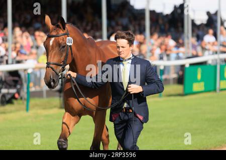 30. August 2023 Burghley Horse Trials Tierärztin Tom McEwen mit Toledo de Kerser Stockfoto