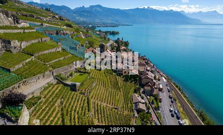 Lavaux terrassierte Weinberge, St. Saphorin, UNESCO-Weltkulturerbe seit 2007 mit Blick auf den Genfer See im Kanton Waadt, Schweiz. Stockfoto