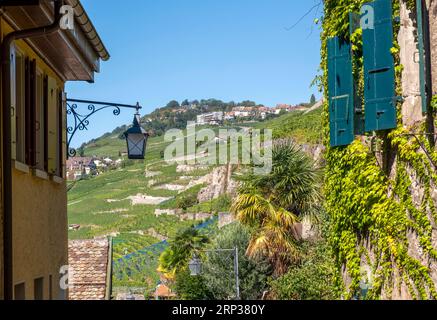 Malerisches Dorf Saint Saphorin, in der Weinregion Lavaux, Kanton Waadt, Schweiz. Stockfoto