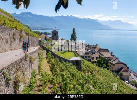 Lavaux terrassierte Weinberge, St. Saphorin, UNESCO-Weltkulturerbe seit 2007 mit Blick auf den Genfer See im Kanton Waadt, Schweiz. Stockfoto