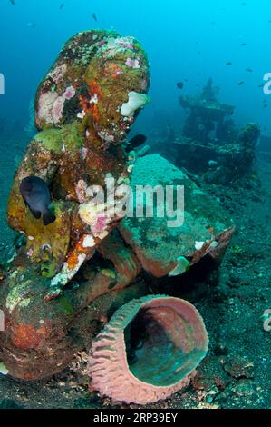 Fassschwamm, Xestospongia testudinaria, auf Buddha Statue, Korallengarten Tauchplatz, Seraya, Karangasem, Bali, Indonesien Stockfoto