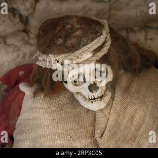 Nazca Mumie auf dem Friedhof von Chauchilla bei Nazca (Peru) Stockfoto